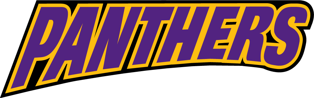 Northern Iowa Panthers 2002-2014 Wordmark Logo v4 iron on transfers for clothing